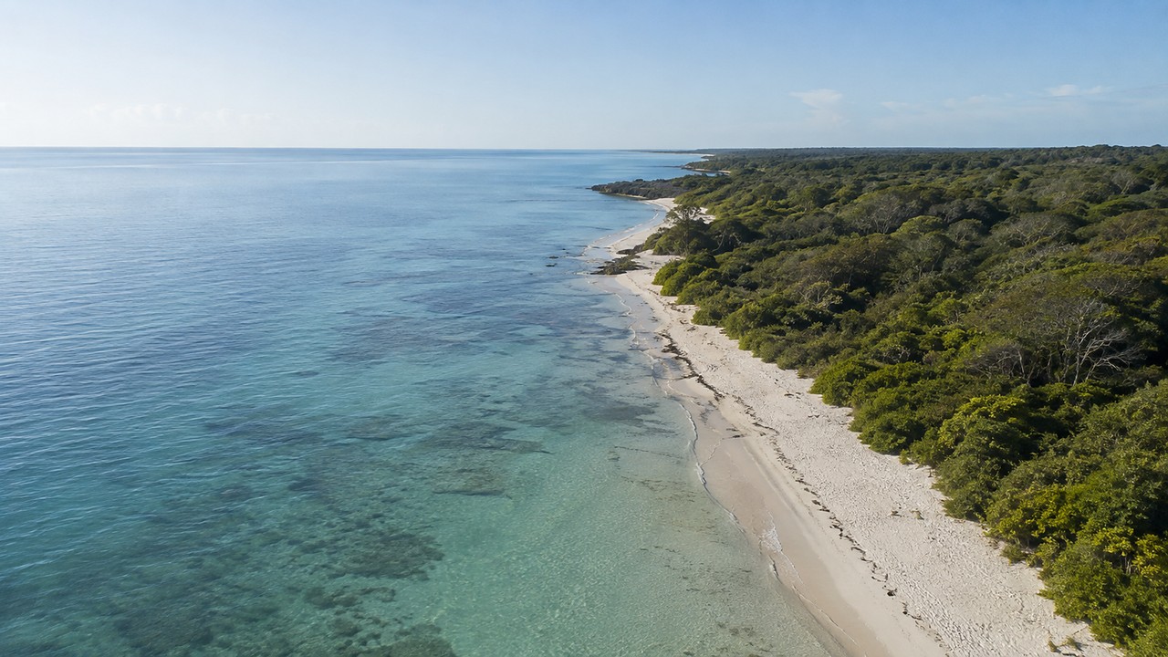 Aerial view of the Indian Ocean shoreline and coastal forest at Watamu, Kilifi County, Kenya