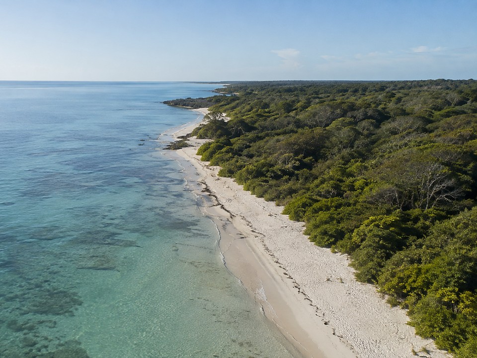 Shoreline and reef flats adjoining the proposed Beachfront Enclave site at Watamu